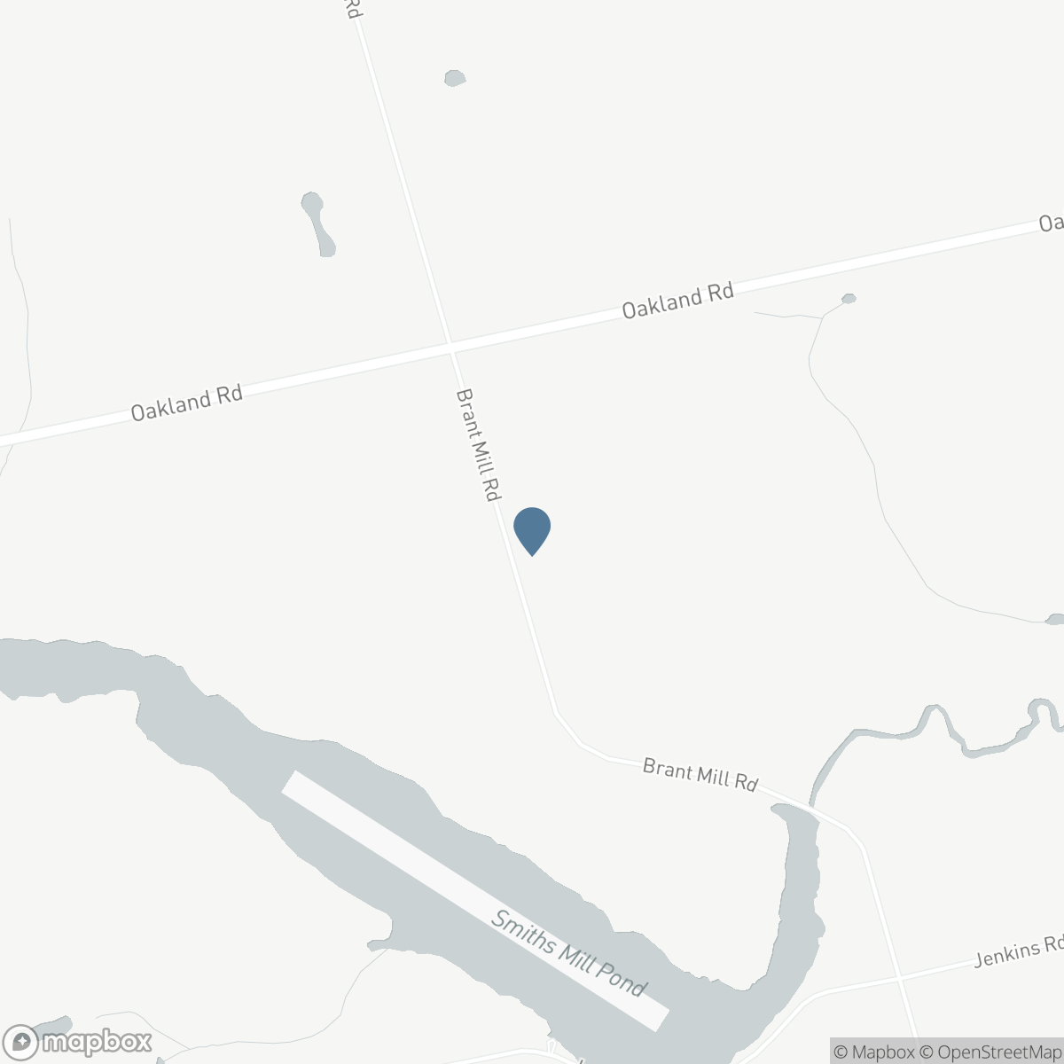 42 BRANT MILL Road, Oakland, Ontario N0E 1R0